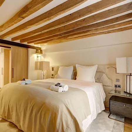 Luxury Terrace Flat Champs-elysees דירה פריז